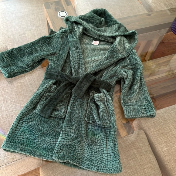 Cat & Jack Other - Cat & Jack Dino bathrobe